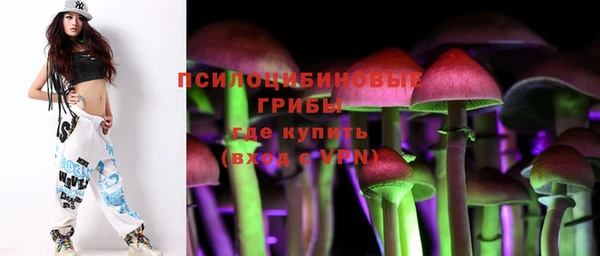 сатива Абинск