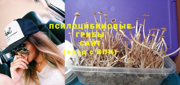 гашиш Новодвинск