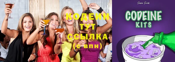дмт Абаза