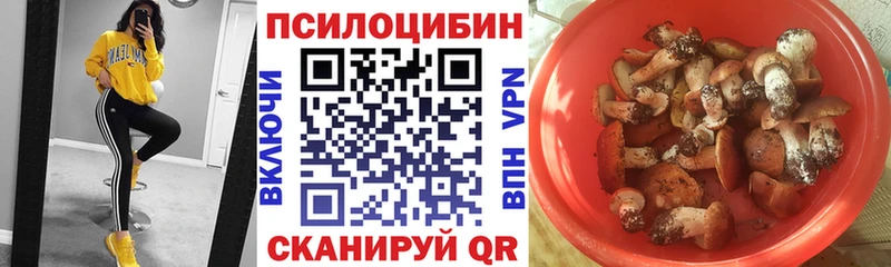 Псилоцибиновые грибы мицелий  KRAKEN ТОР  Хасавюрт 