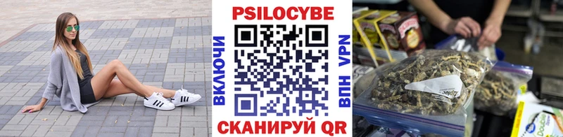 Псилоцибиновые грибы Psilocybine cubensis Хасавюрт